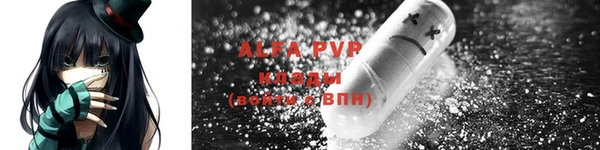 шишки Магадан