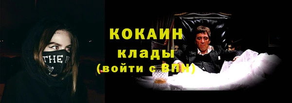 бошки Мегион