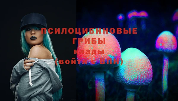 бошки Мегион