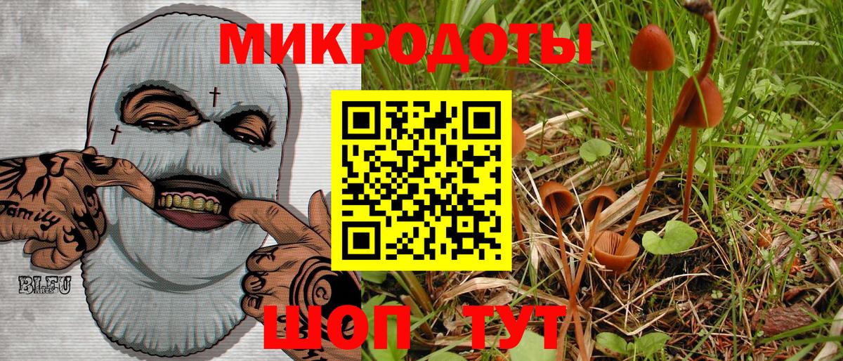 Псилоцибиновые грибы прущие грибы  Вход с VPN  Салават 