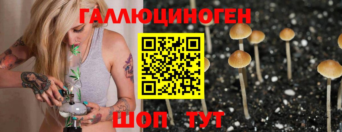 Галлюциногенные грибы Psilocybe Салават